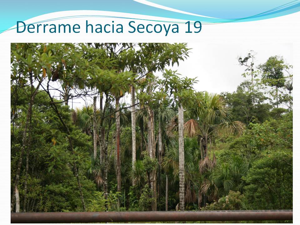 diapositiva117