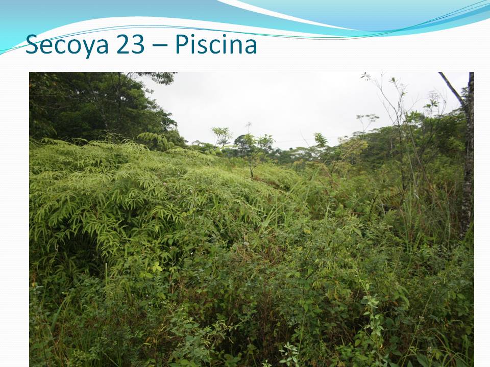 diapositiva119
