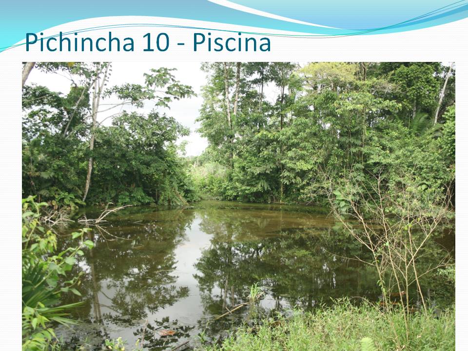diapositiva157