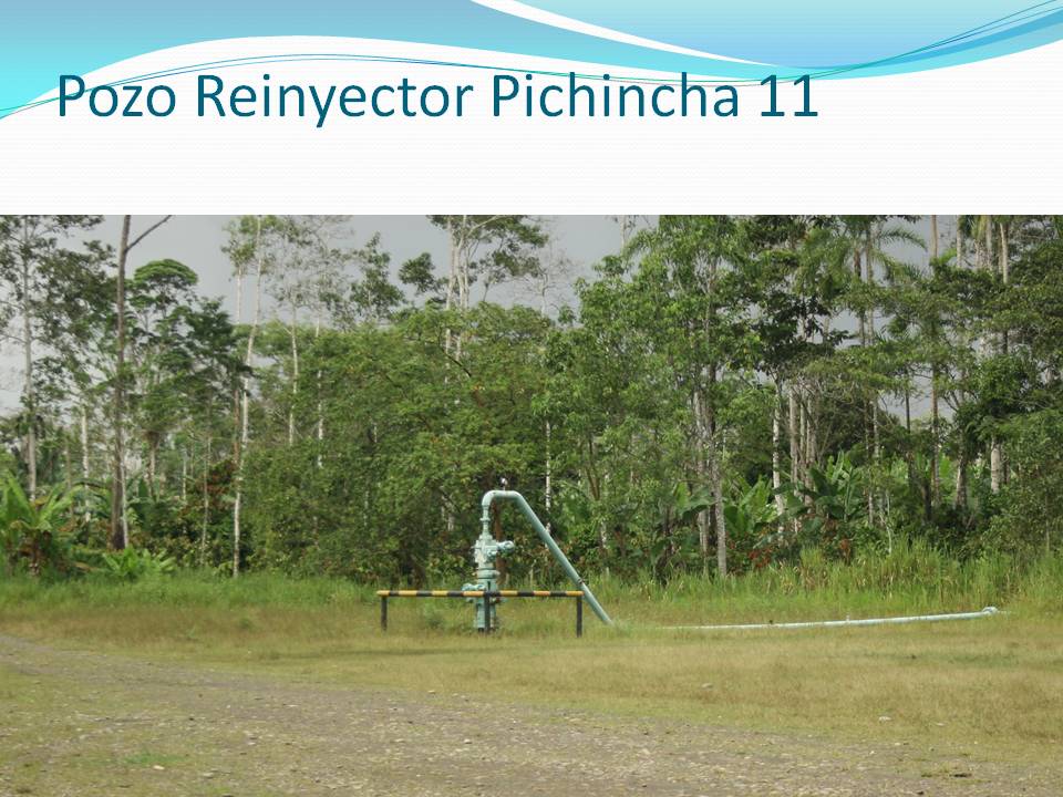diapositiva161