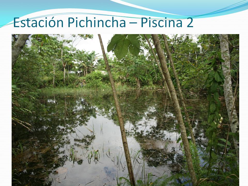 diapositiva166