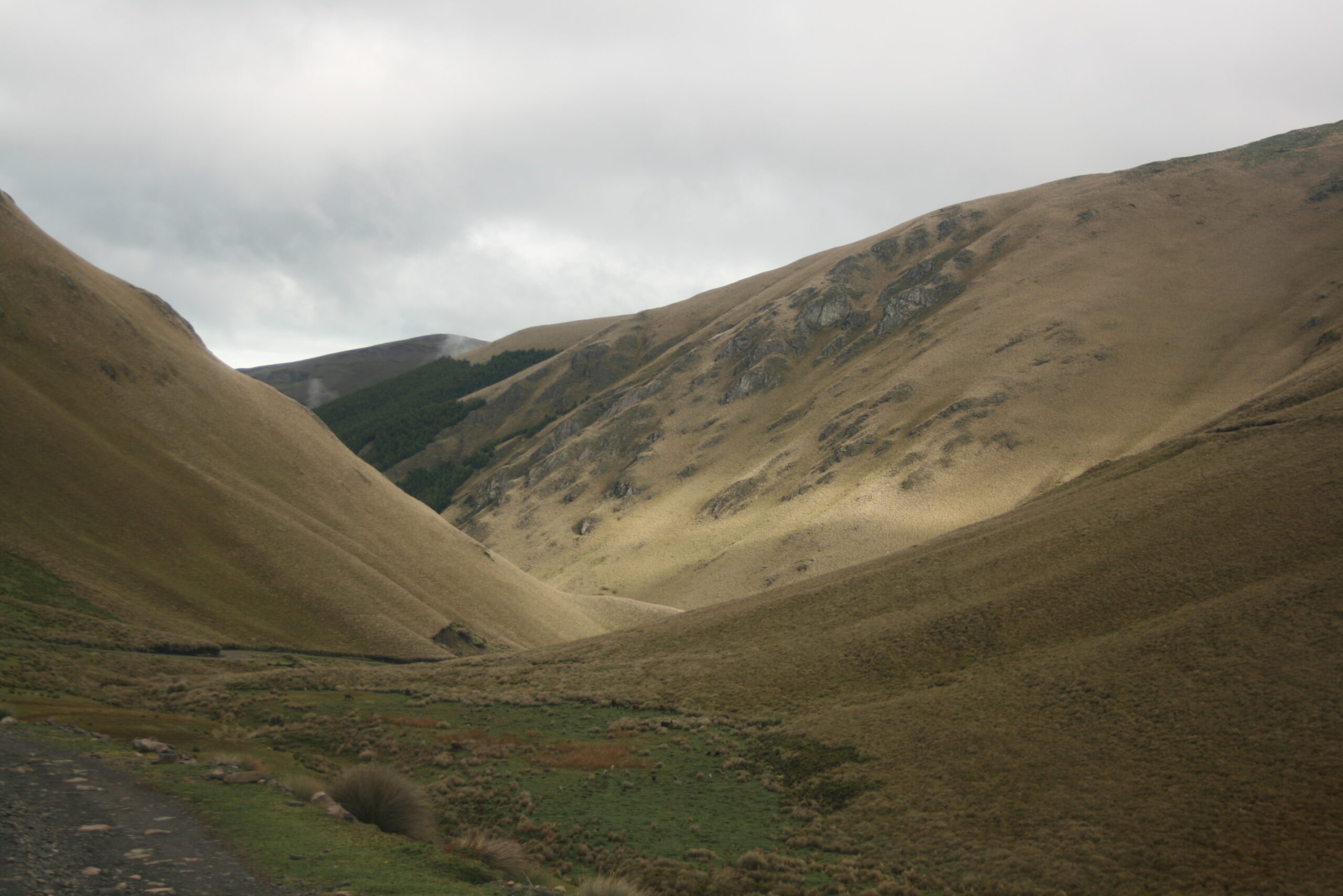 paramo1