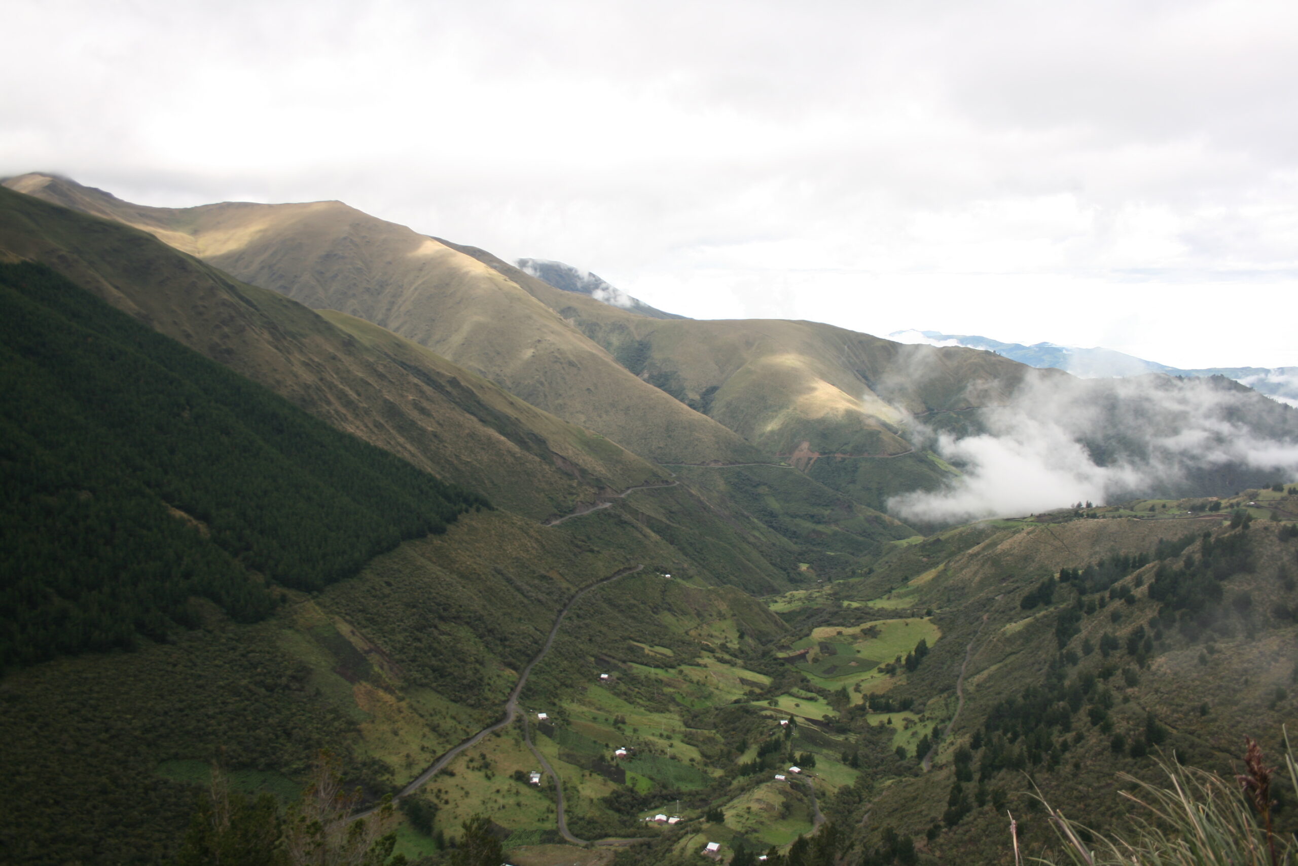 paramo2