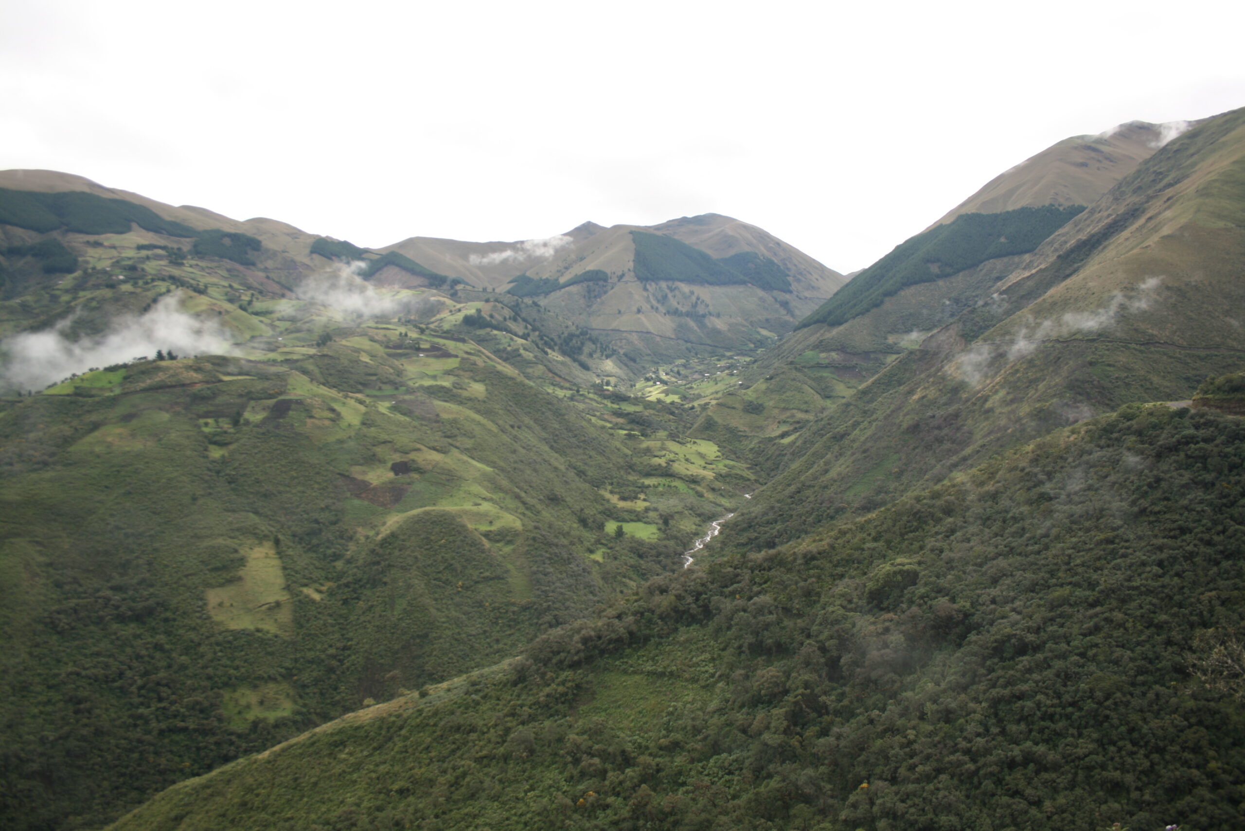 paramo3