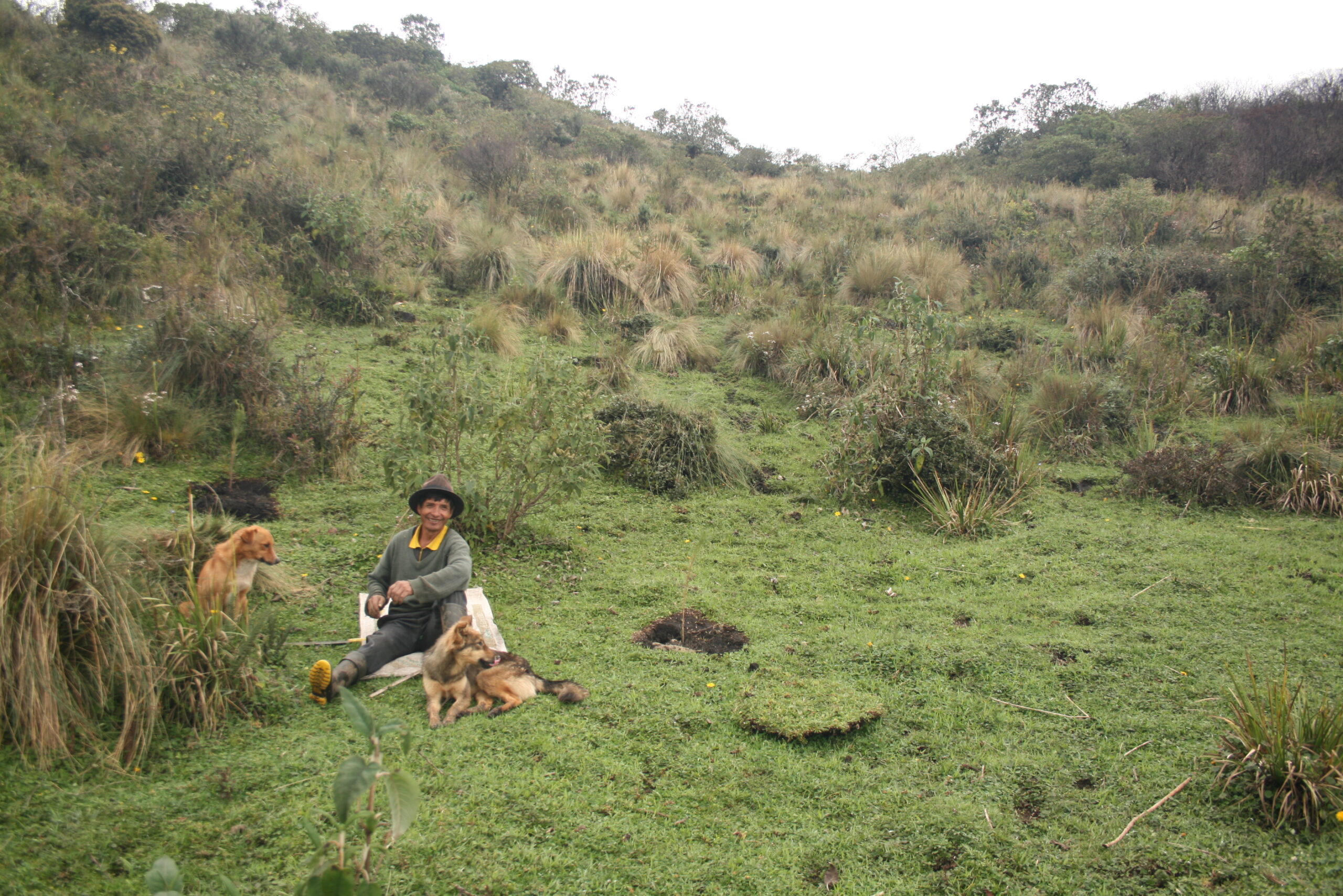 paramo4